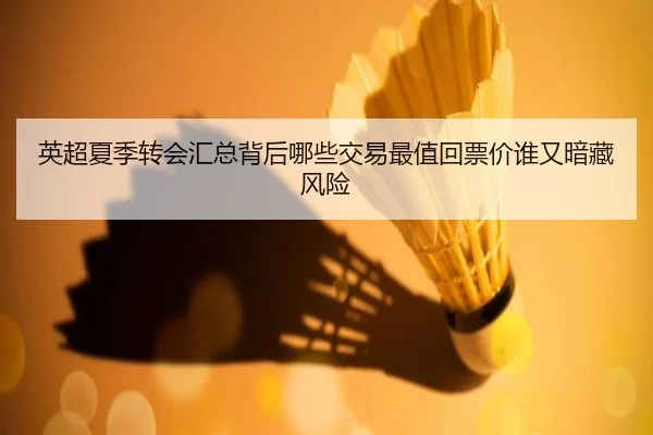 英超夏季转会汇总背后哪些交易最值回票价谁又暗藏风险